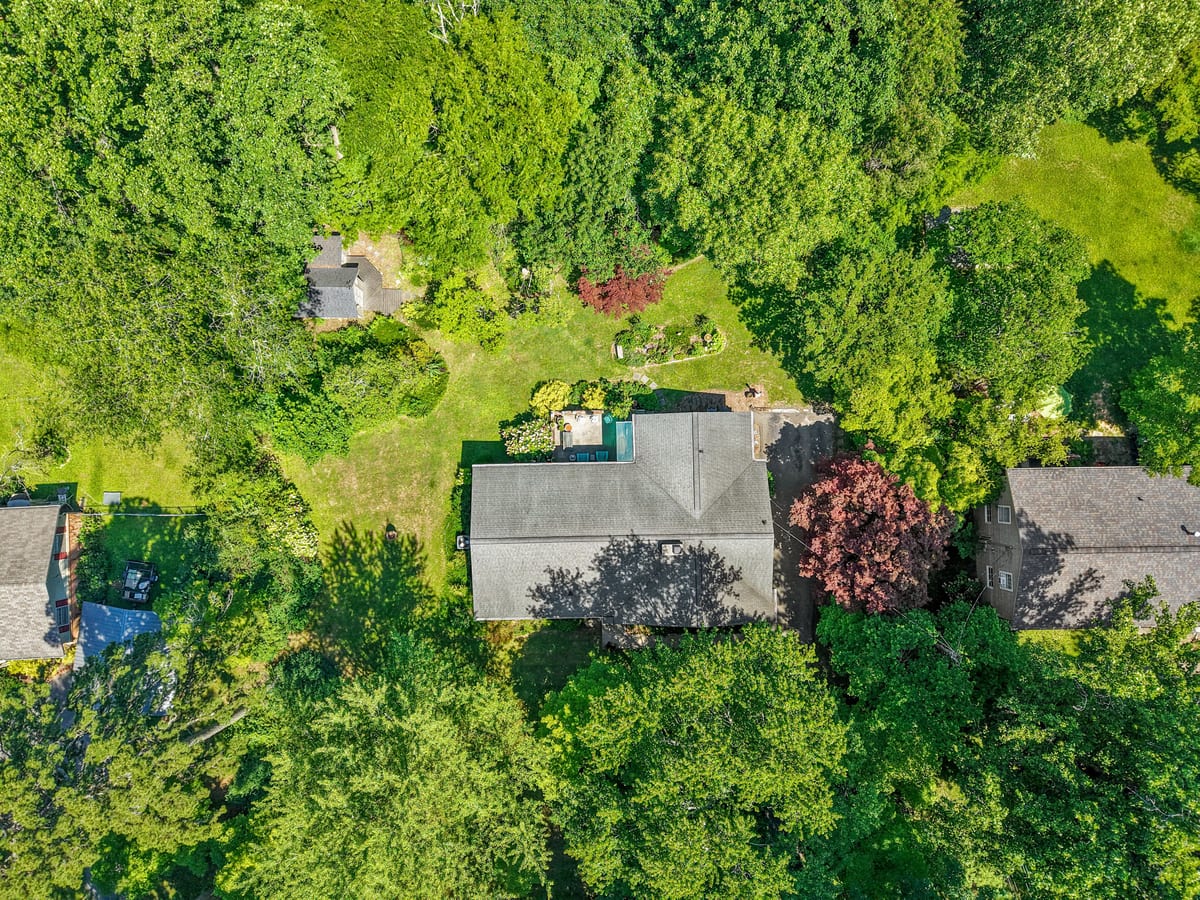Straight-down drone view of the ranch roof within the tree canopy