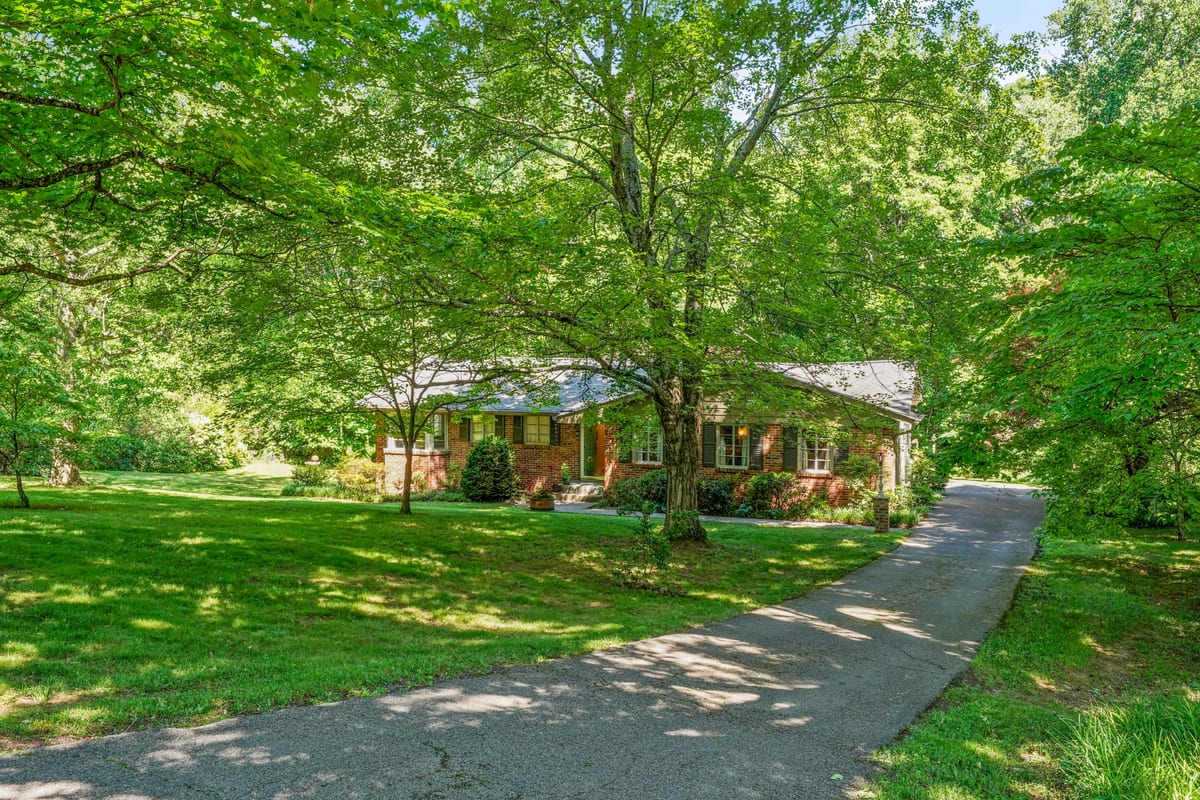 Long driveway approach beneath an oak canopy
